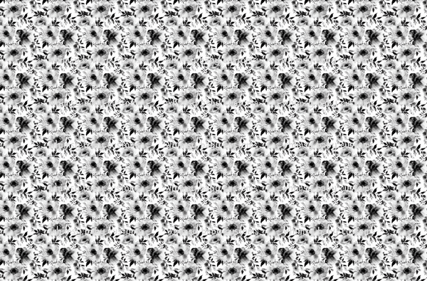 TS Watercolor Black and White Floral Fabric