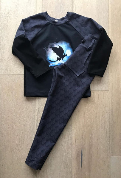 C031 Dragon Tooth at Night Child Panel (HHTYD)