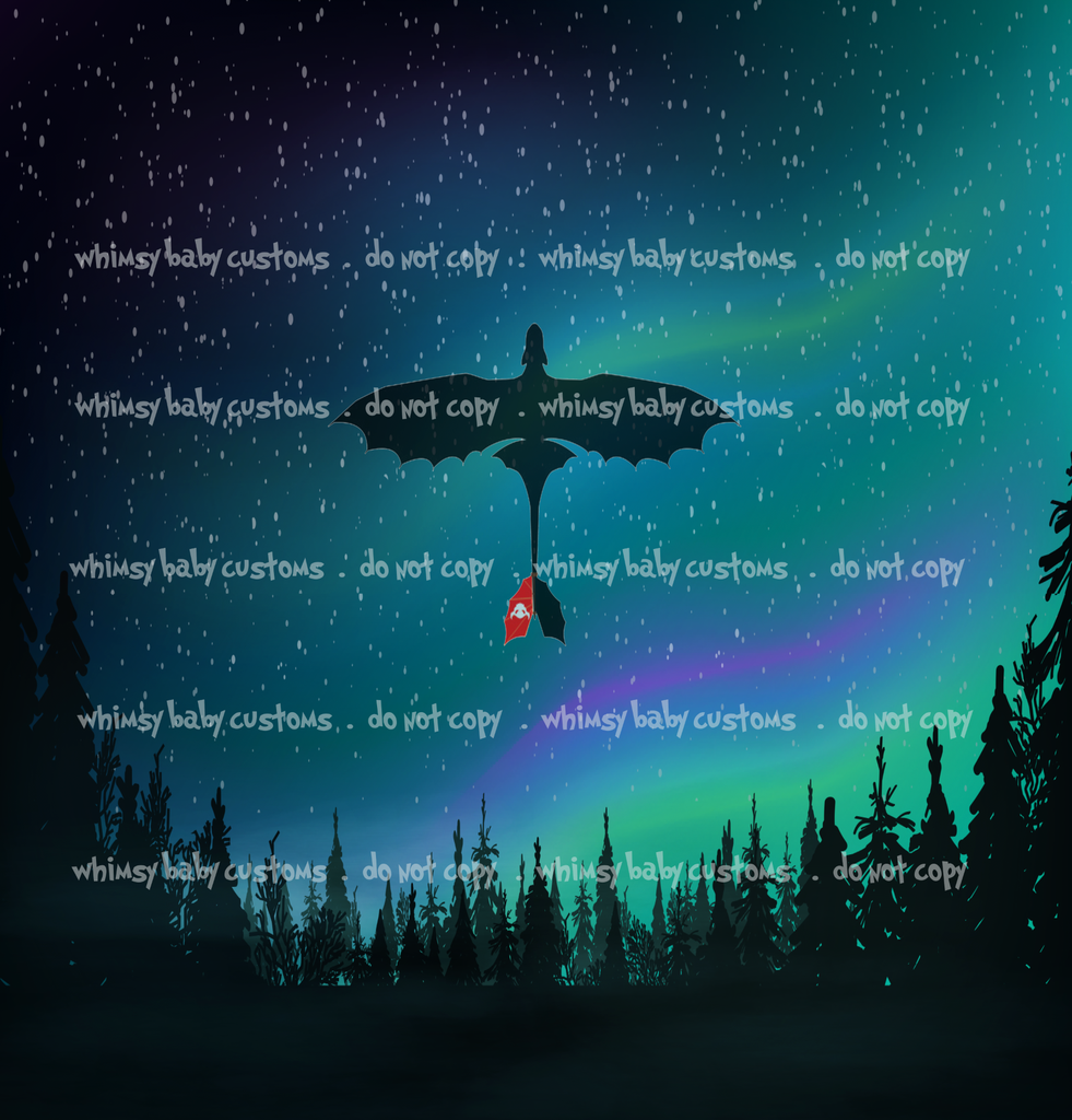 C033 Child Panel Dragon Tooth in the Night Sky Full Panel (HTTYD)