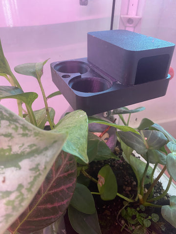 Crested Gecko Hide and Feeder