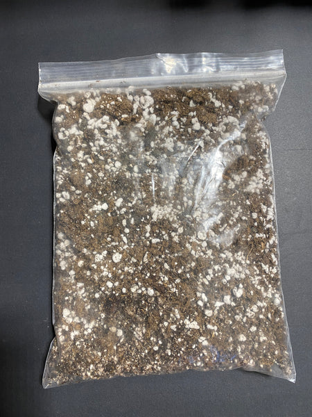 Pinguicula Soil / Substrate