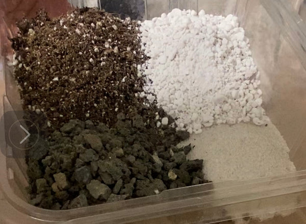 Pinguicula Soil / Substrate