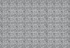Fabric Black Scribble (Investigation Alligators Coordinate)
