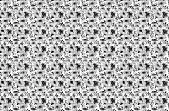 TS Watercolor Black and White Floral Fabric