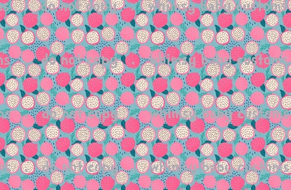 Fabric Dragon Fruit