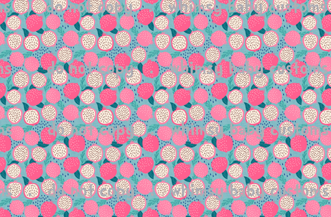 Fabric Dragon Fruit