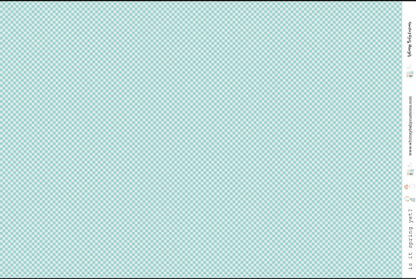 Sea-foam Gingham on Woven